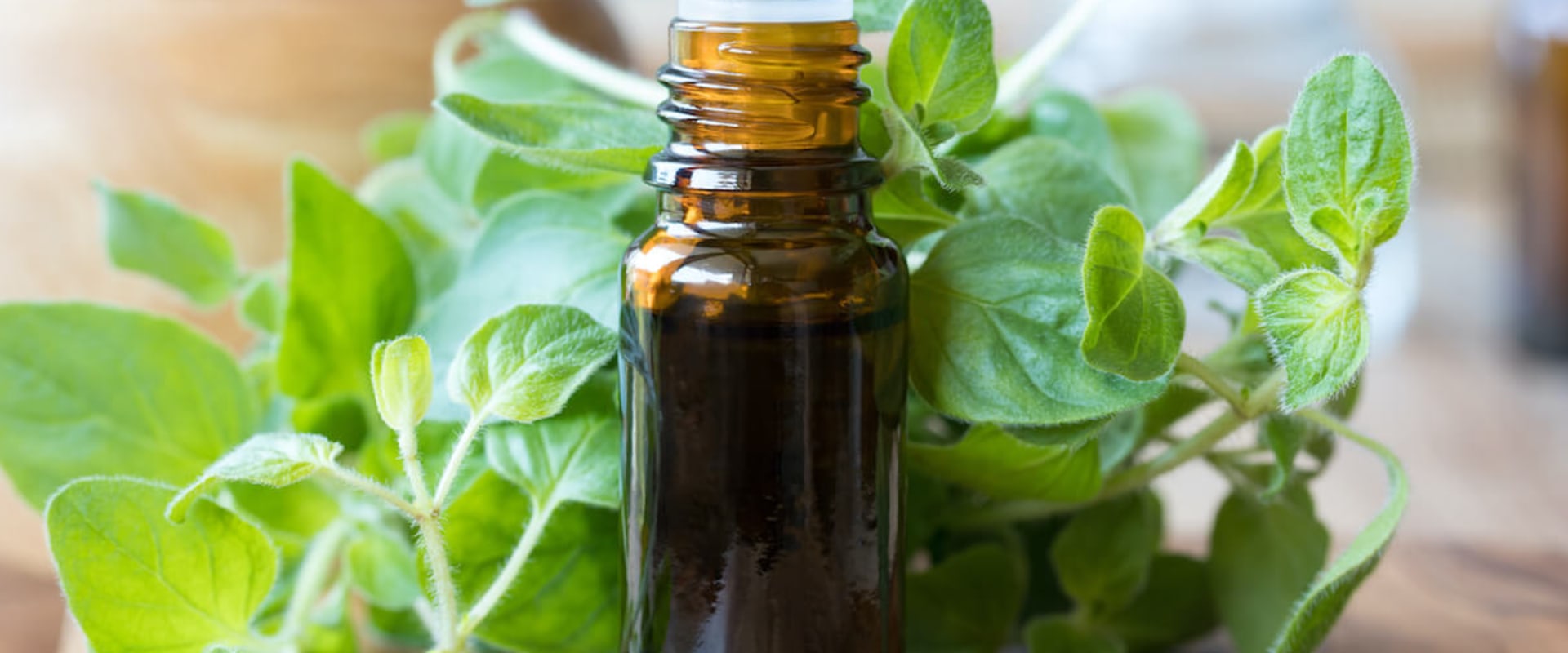 The Power of Oregano Oil: A Closer Look at its Healing Properties