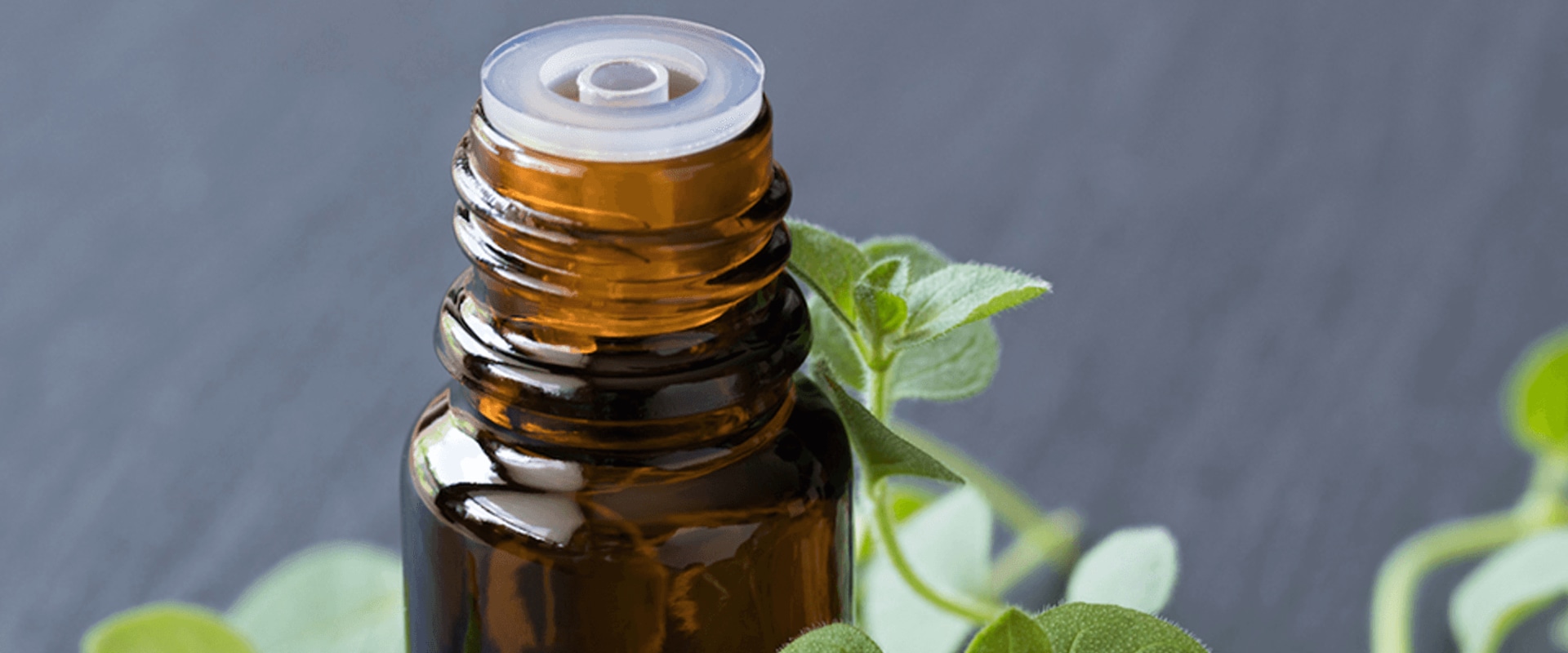 The Power of Oregano Oil: A Natural Antibiotic Alternative