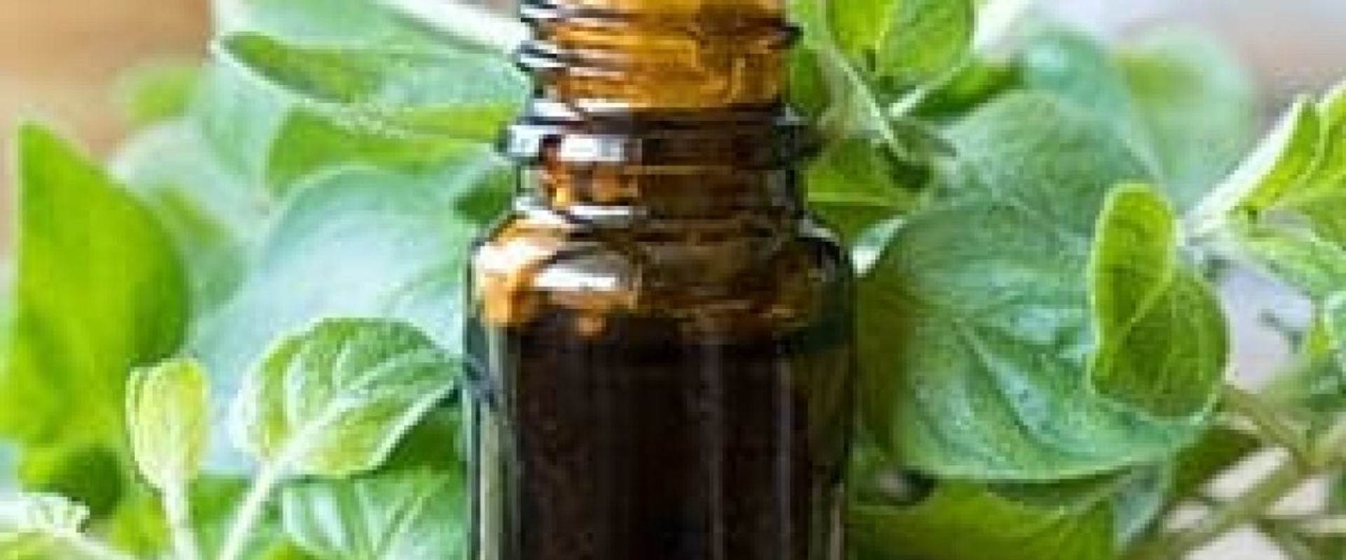 The Healing Power of Oregano Oil: A Comprehensive Guide to its Health Benefits