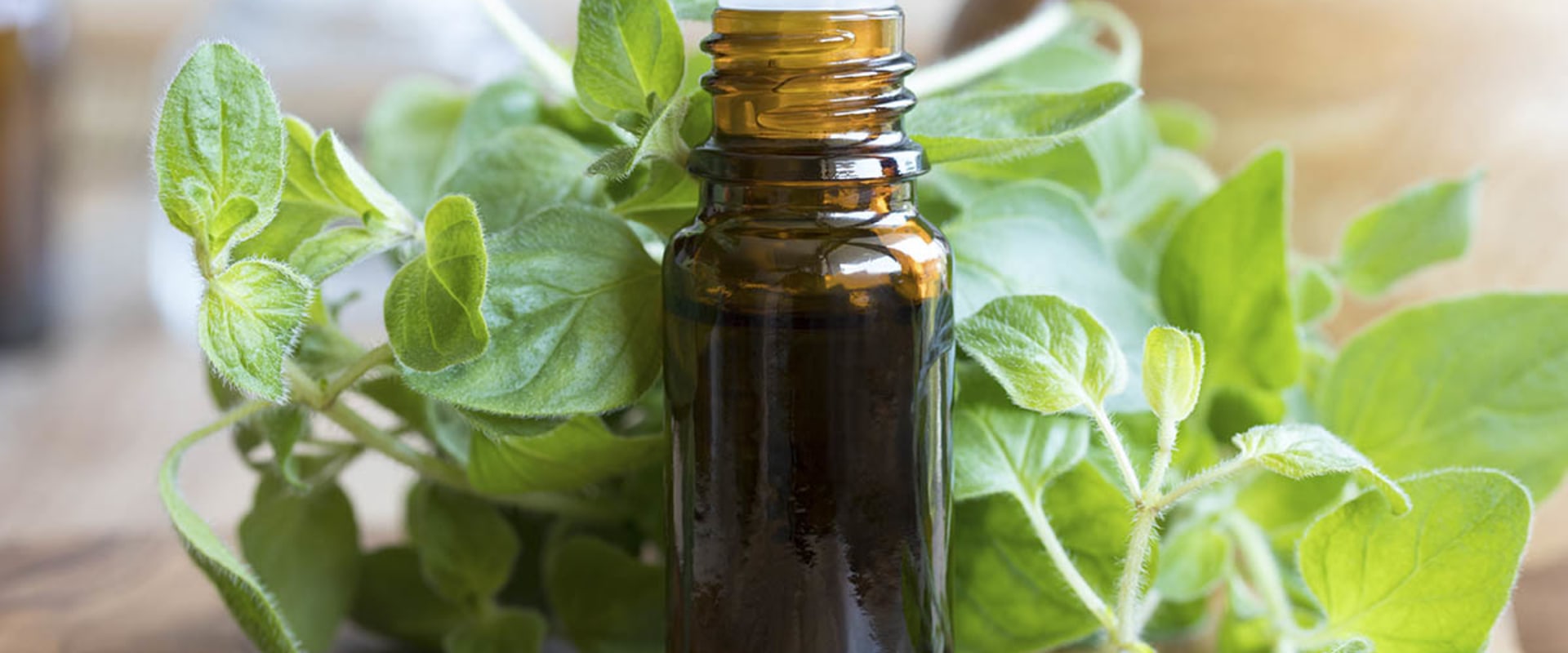 The Power of Oregano Oil: From Weight Loss to Infections