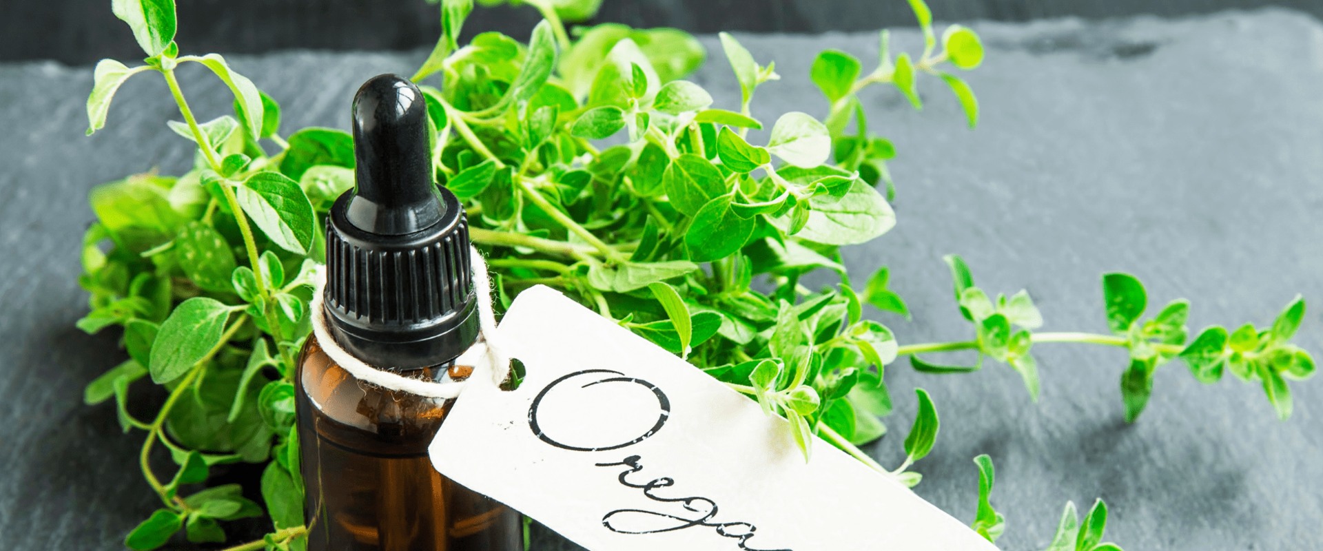 The Power of Oregano Oil: Unlocking its Healing Potential