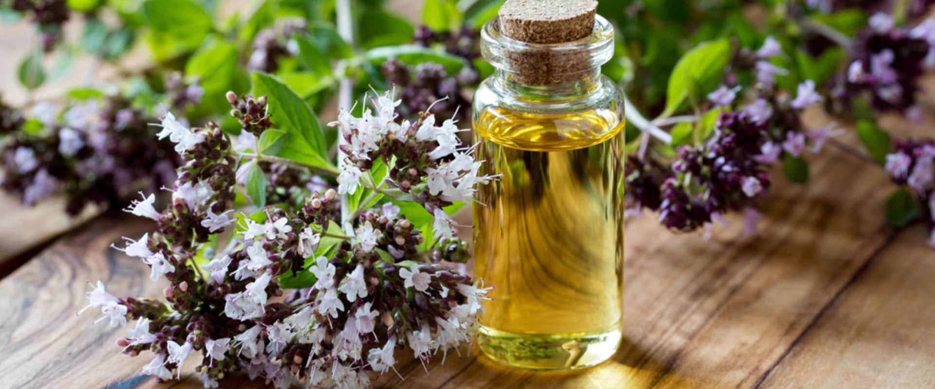 The Power of Oregano Oil: A Natural Remedy for Bacterial Infections