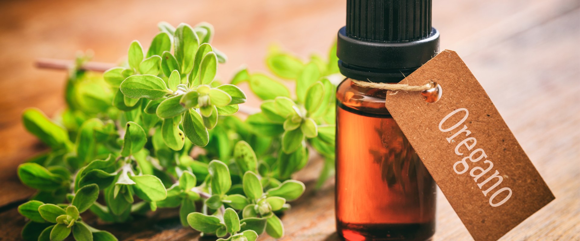 The Healing Power of Oregano Oil: A Comprehensive Guide to Its Antibacterial Properties