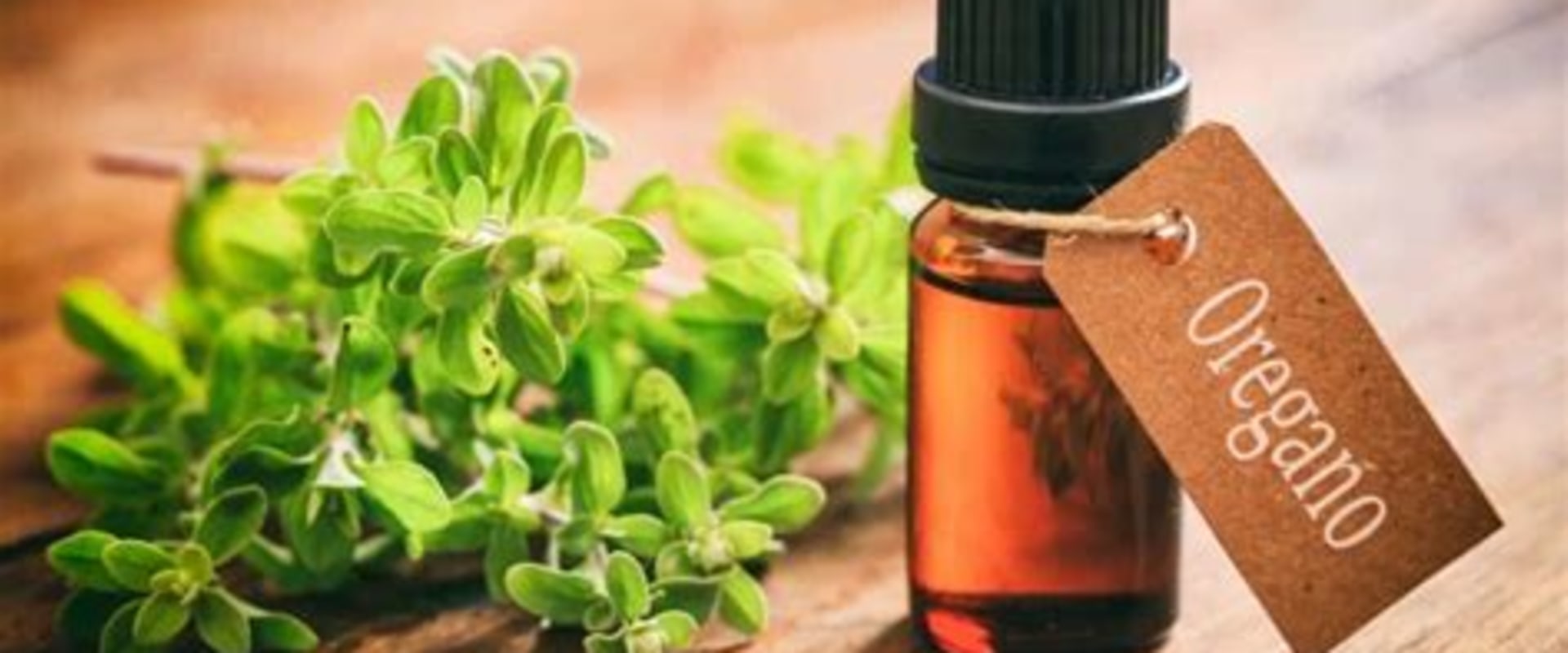 The Healing Power of Oregano Oil: A Natural Alternative to Antibiotics